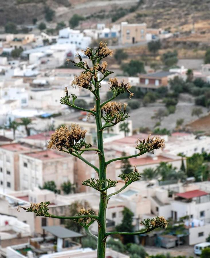Nijar Bella Y Su Parque Natural Cabo De Gata Exteriér fotografie